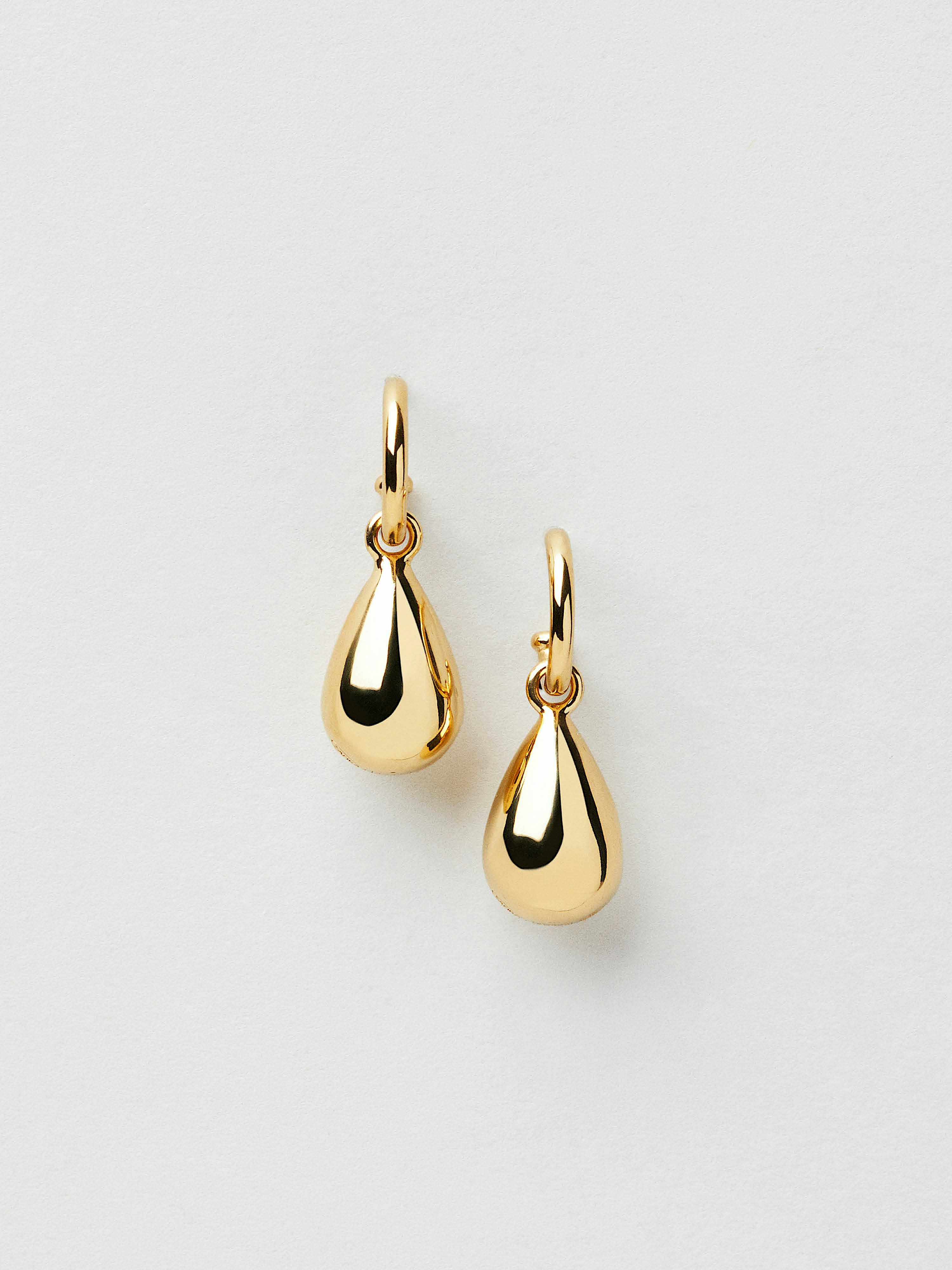 Cailyn Hoops