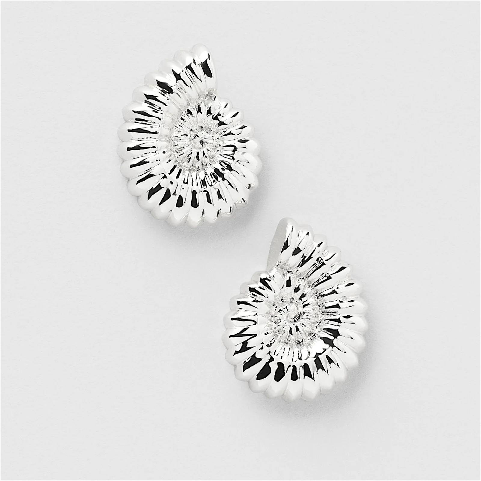 Seashell Studs